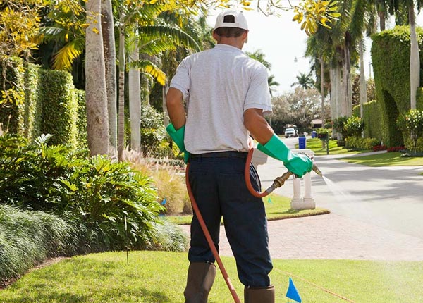 About Peachtree Corners GA Pest Control Pros
